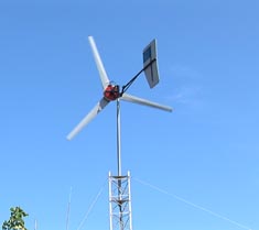 micsem.org / video / movies